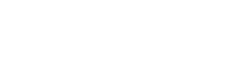 diversify logo