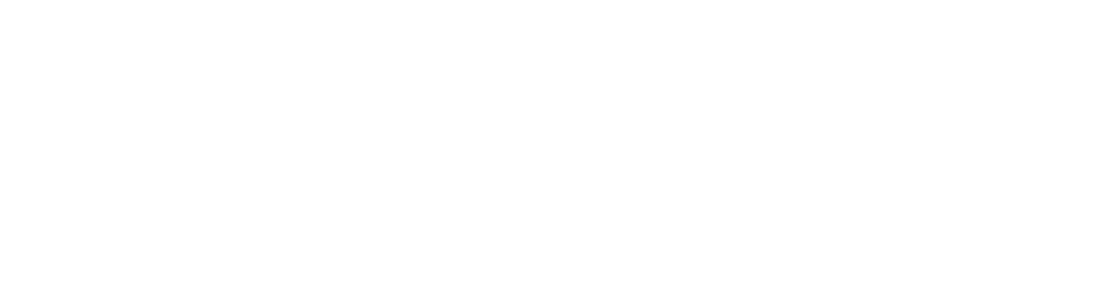 diversify logo