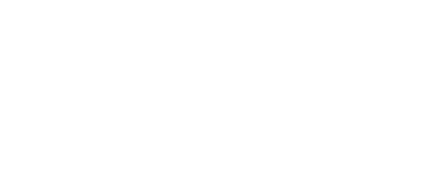 DNS logo