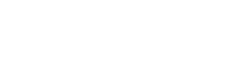 Experis Logo